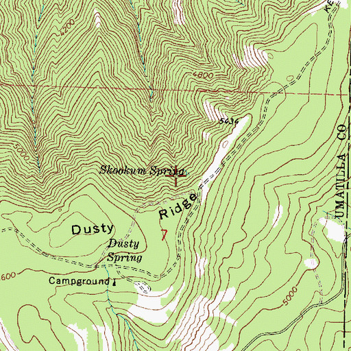 Topographic Map of Skookum Spring, OR
