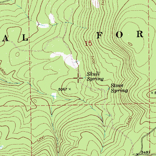 Topographic Map of Skull Spring, OR