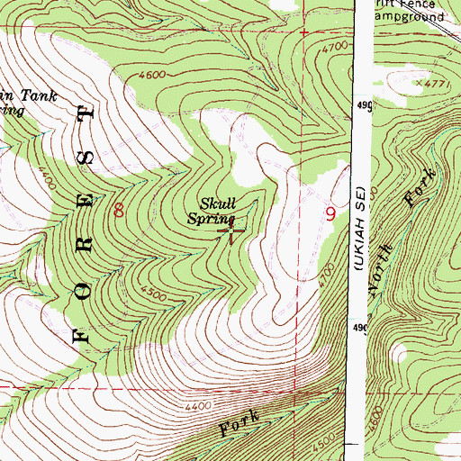 Topographic Map of Skull Spring, OR