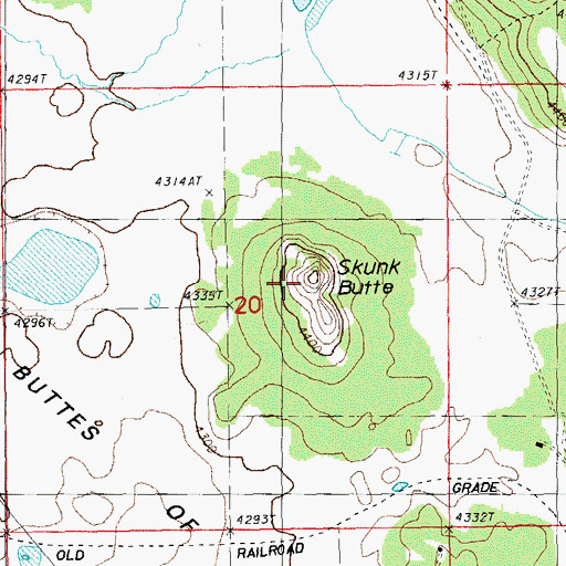 Topographic Map of Skunk Butte, OR