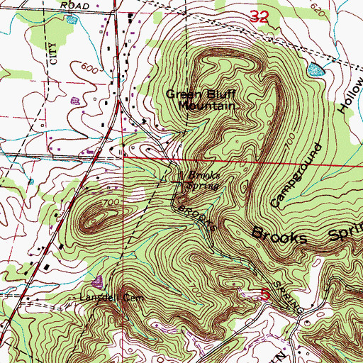 Topographic Map of Brooks Spring, AL