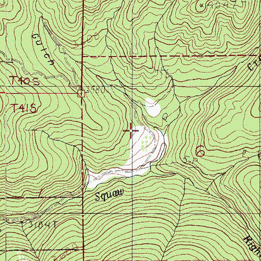 Topographic Map of Slick Taw Gulch, OR