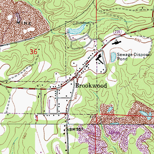 Topographic Map of Brookwood, AL
