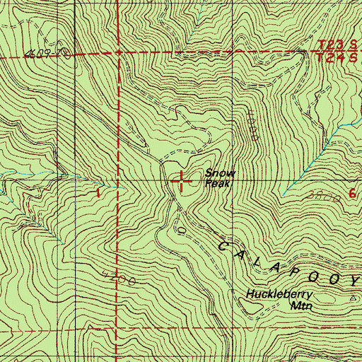 Topographic Map of Snow Peak, OR