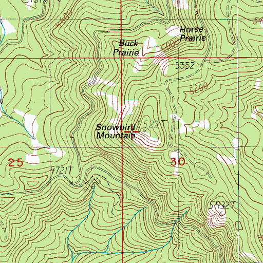 Topographic Map of Snowbird Mountain, OR