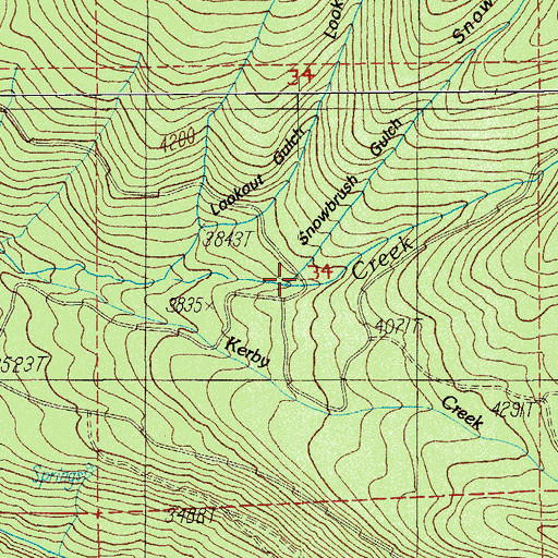 Topographic Map of Snowbrush Gulch, OR