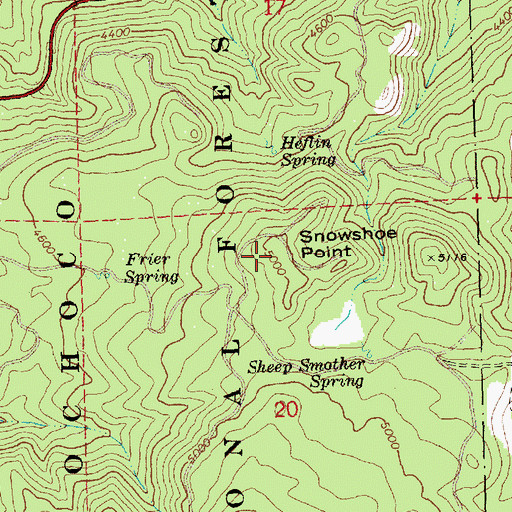 Topographic Map of Snowshoe Point, OR