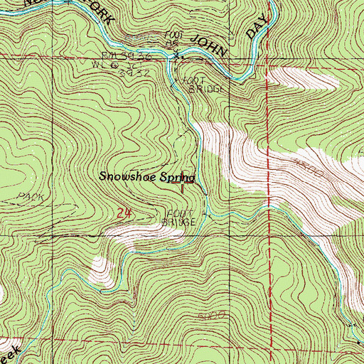 Topographic Map of Snowshoe Spring, OR