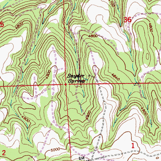 Topographic Map of Snyder Spring, OR