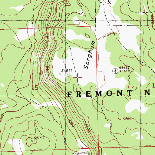 Topographic Map of Sorghum Flat, OR