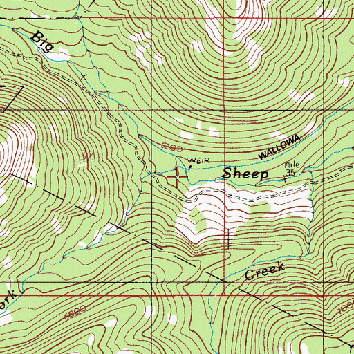 Topographic Map of South Fork Big Sheep Creek, OR