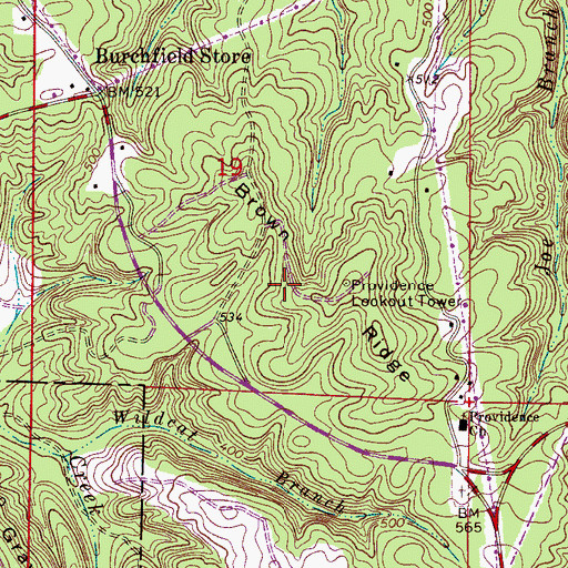 Topographic Map of Brown Ridge, AL