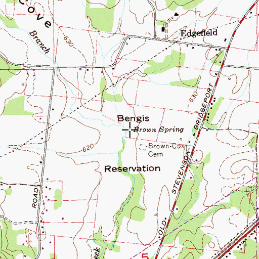 Topographic Map of Brown Spring, AL