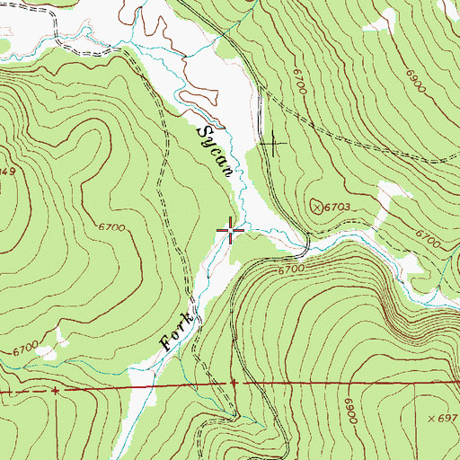 Topographic Map of South Fork Sycan River, OR