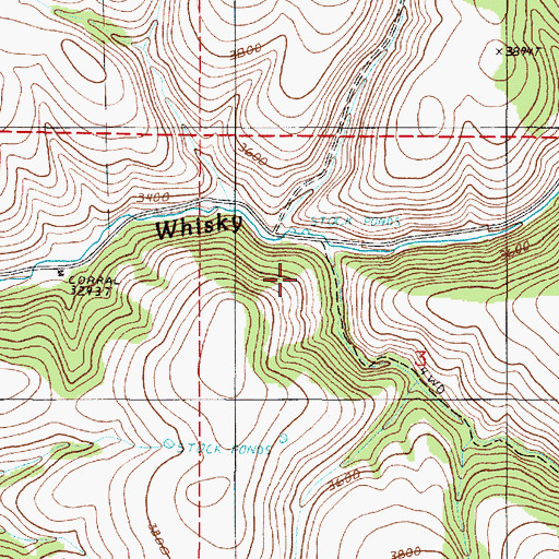 Topographic Map of South Fork Whisky Creek, OR