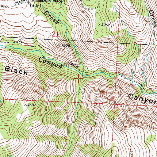 Topographic Map of South Prong Black Canyon Creek, OR