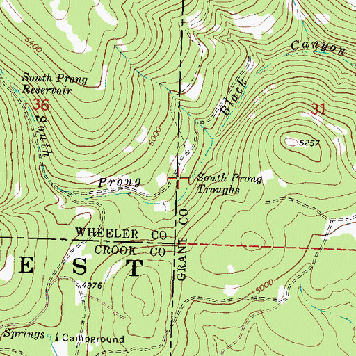 Topographic Map of South Prong Troughs, OR