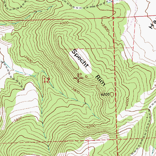 Topographic Map of Specht Rim, OR
