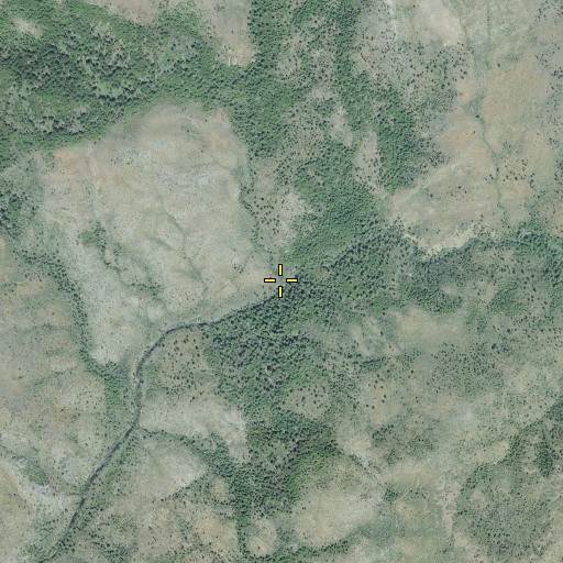 Aerial/Satellite Image of Spokane Creek, OR