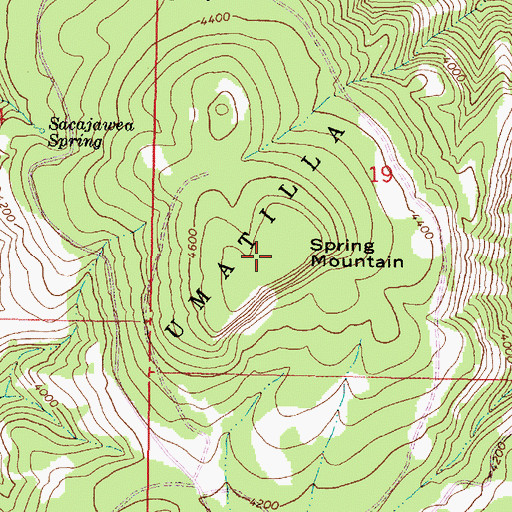Topographic Map of Spring Mountain, OR