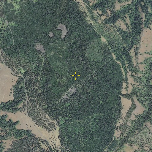 Aerial/Satellite Image of Spring Mountain, OR