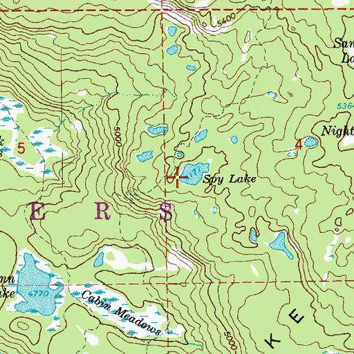 Topographic Map of Spy Lake, OR