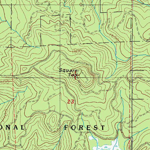 Topographic Map of Square Top, OR