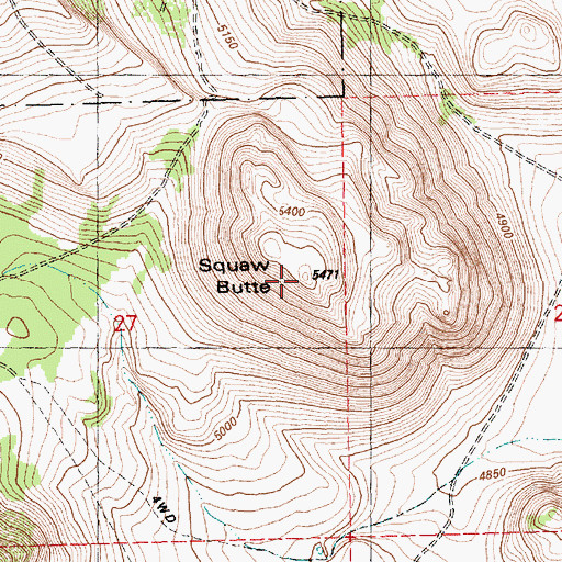 Topographic Map of Squaw Butte, OR