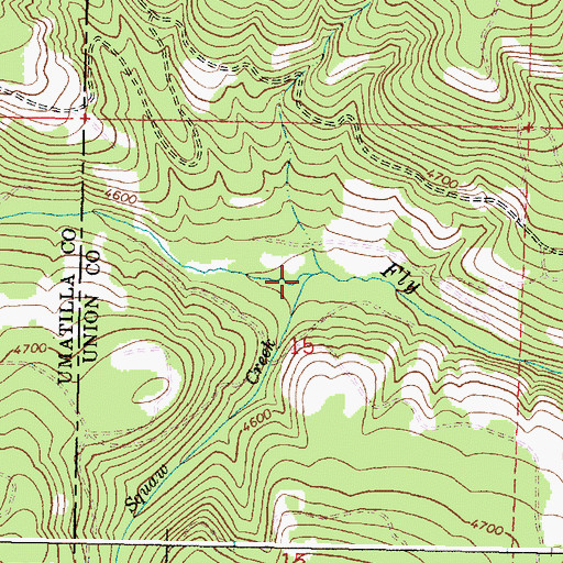Topographic Map of Peskit Creek, OR