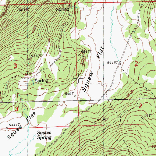 Topographic Map of Squaw Flat, OR