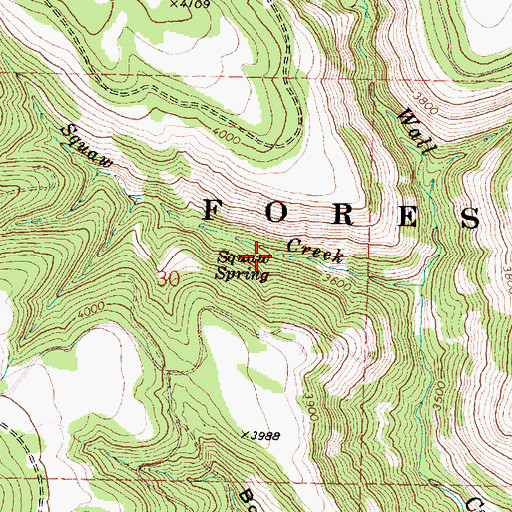 Topographic Map of Aspen Spring, OR