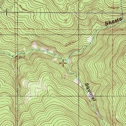 Topographic Map of Squirrel Camp Creek, OR