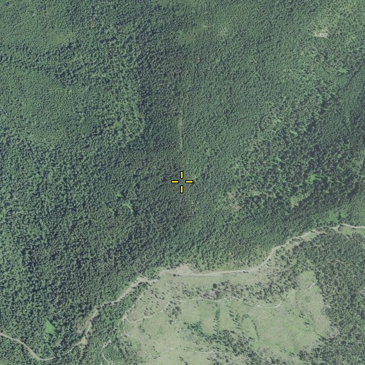 Aerial/Satellite Image of Squirrel Peak, OR