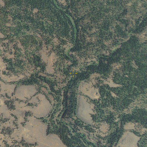 Aerial/Satellite Image of Stalder Creek, OR