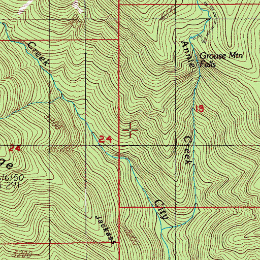 Topographic Map of Steamboat Trail, OR