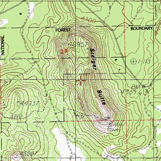 Topographic Map of Steiger Butte, OR