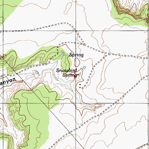 Topographic Map of Snowbird Spring, AZ