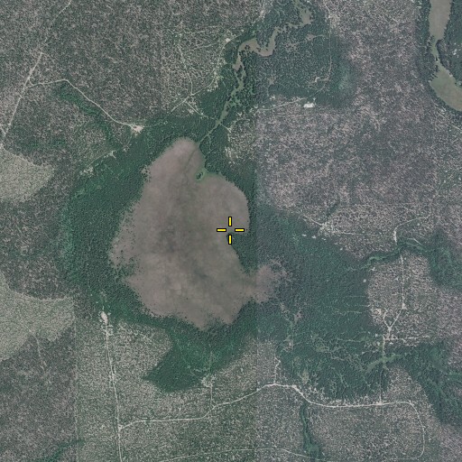Aerial/Satellite Image of Stimson Meadow, OR