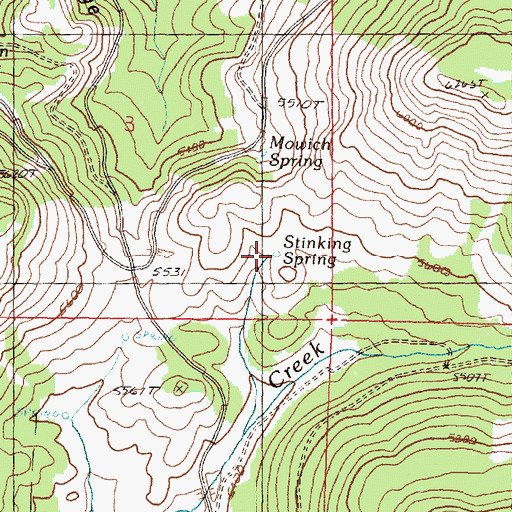 Topographic Map of Stinking Spring, OR