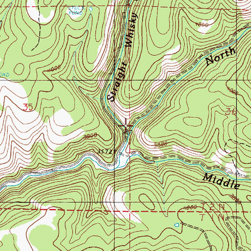 Topographic Map of Straight Whisky Creek, OR