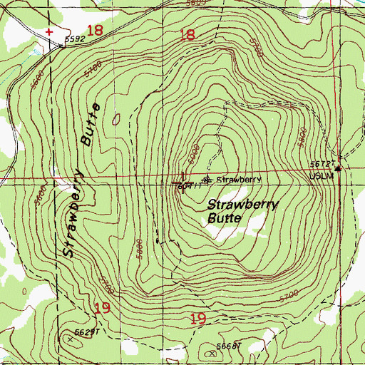 Topographic Map of Strawberry Butte, OR