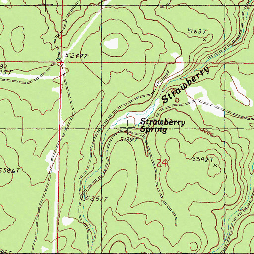 Topographic Map of Strawberry Spring, OR
