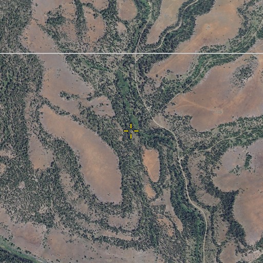 Aerial/Satellite Image of Stupid Creek, OR