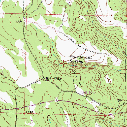 Topographic Map of Sturdevant Spring, OR