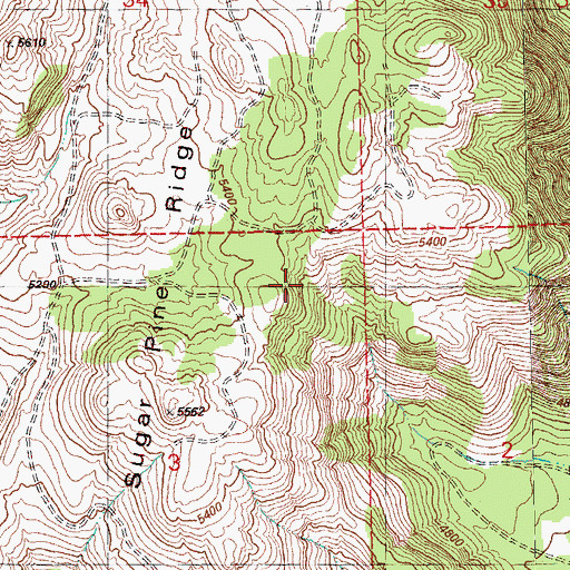Topographic Map of Sugar Pine Ridge, OR