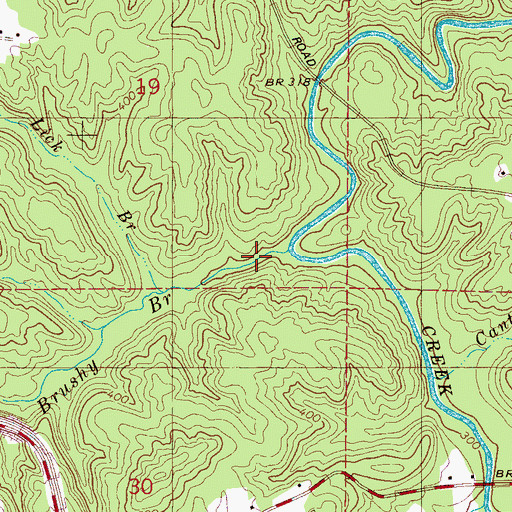 Topographic Map of Brushy Branch, AL