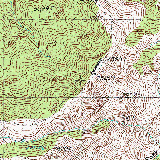 Topographic Map of Snowshed Trail, AZ