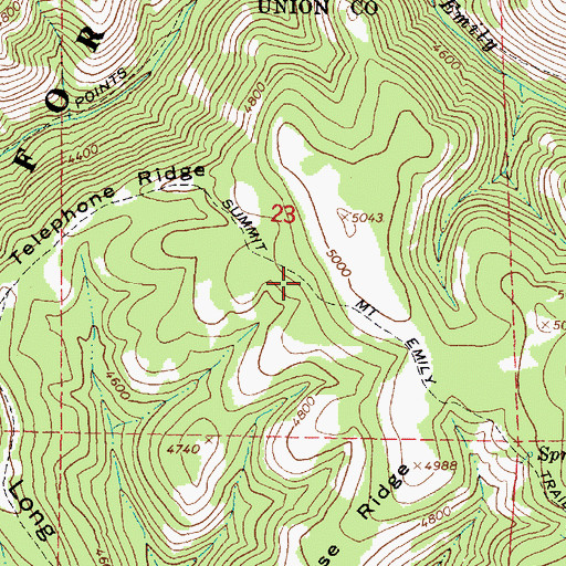 Topographic Map of Summit Mount Emily Trail, OR