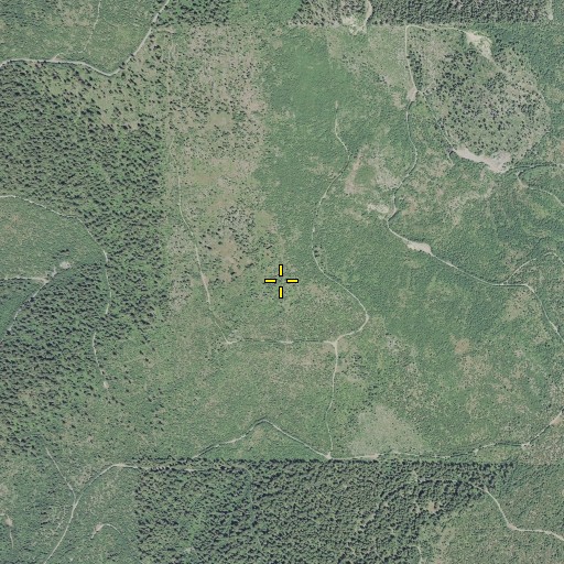 Aerial/Satellite Image of Summit Prairie, OR