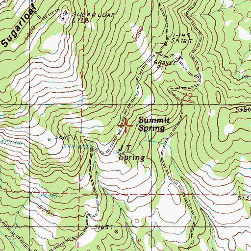 Topographic Map of Summit Spring, OR